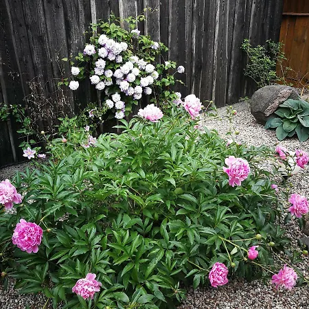 Near Old Town With Private Parking Appartement