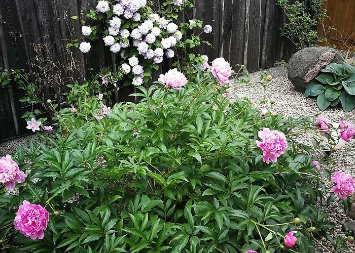 Near Old Town With Private Parking Apartment